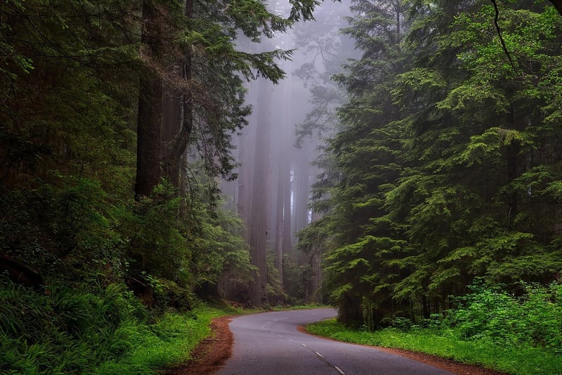Connect with Nature
